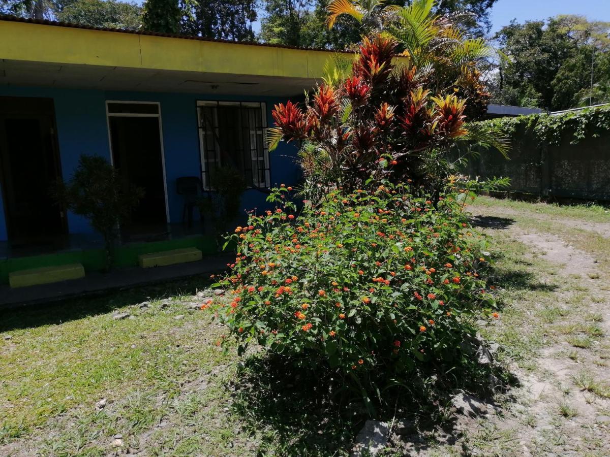 Magic Flower Rooms Cahuita Luaran gambar