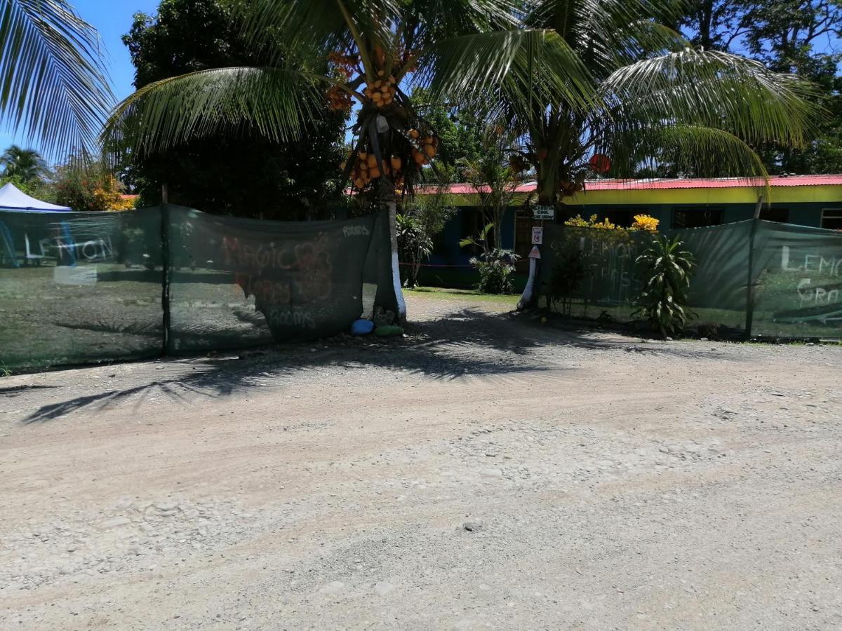 Magic Flower Rooms Cahuita Luaran gambar
