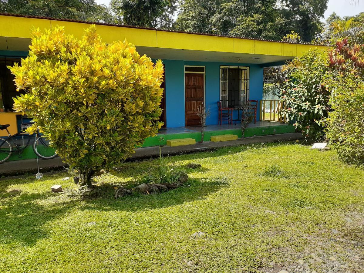 Magic Flower Rooms Cahuita Luaran gambar